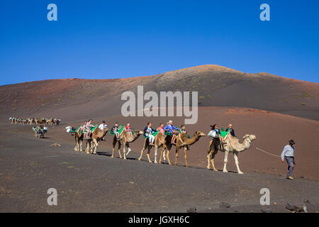 Touristen mit dromedaren, einhoeckriges Kamel (camelus dromedarius) auf den Feuerbergen, Montanas del Fuego, Nationalpark Timanfaya auf Lanzarote, kanari Stockfoto