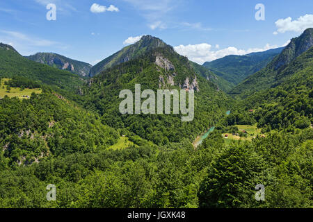 Schöne Schlucht des Flusses Tara in Montenegro Stockfoto