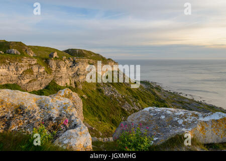 Abendlicht taucht der westlichen Klippen Portland in Dorset, England, UK Stockfoto