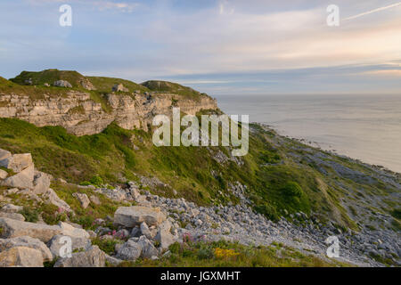 Abendlicht taucht der westlichen Klippen Portland in Dorset, England, UK Stockfoto