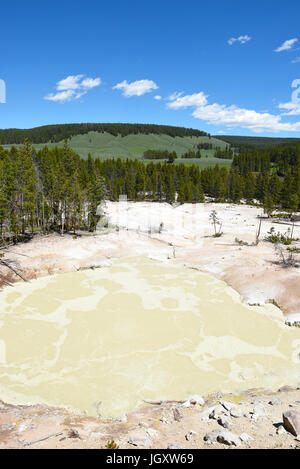 Schwefel-Kessel, Yellowstone-Nationalpark, ist am Rande eines der aktivsten Gebiete des Vulkans Parks begraben, füllt den Kessel mit sulfu Stockfoto