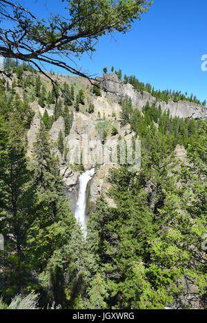 Turm-Herbst im Yellowstone National Park taucht 132 Füße in Tower Creek. Der Name kommt von den Felsen Zinnen an der Spitze des Wasserfalls. Stockfoto