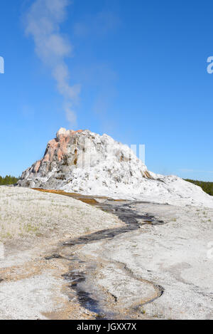 Weiße Dome Geyser mit einem Kegel Jahrhunderte alt ist einer der größten im Yellowstone-Nationalpark. Seine 12-Fuß-hohe Geyserite Cone ist einer der größten ich Stockfoto