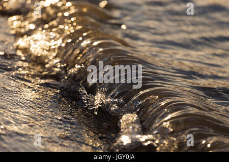 Eine kleine goldene Welle stürzt bei Sonnenaufgang auf dem Sand. Stockfoto