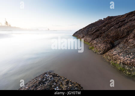 Austern Klammern sich an den Felsen in diesem verträumten Küsten Seestück auf einer klaren Sommerabend in Australien. Stockfoto