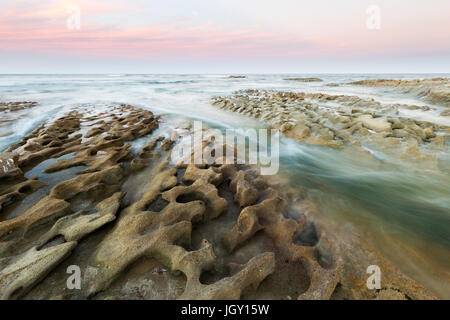 Eine schöne Küsten-Langzeitbelichtung rosa Sonnenuntergang über eine strukturierte Kalkstein-Riff an der Ostküste von Australien. Stockfoto