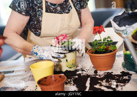 Ältere Erwachsene Frau Blumenerde Pflanzen auf Tisch Stockfoto