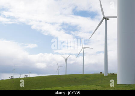 Reihe von Windmühlen, die eifrig Stromerzeugung auf dem Hof der Mühle in der Fleurieu Peninsula, Cape Jervis, Südaustralien Stockfoto