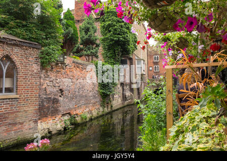 Blick auf den Fluss Stour oder großes Stour in Canterbury, aus dem alten Weber-Haus, Kent mit Touristen und Gäste Stockfoto