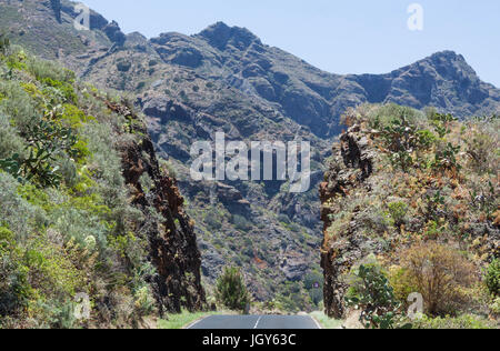 Straßenpass im Anaga-Park, Teneriffa Stockfoto