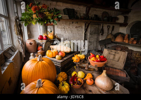 Stillleben mit sorgfältig verschiedene Arten von Kürbissen und Früchte in einem Gartenhaus für Display angeordnet. Stockfoto