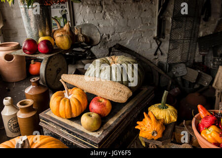 Stillleben mit sorgfältig verschiedene Arten von Kürbissen und Früchte in einem Gartenhaus für Display angeordnet. Stockfoto