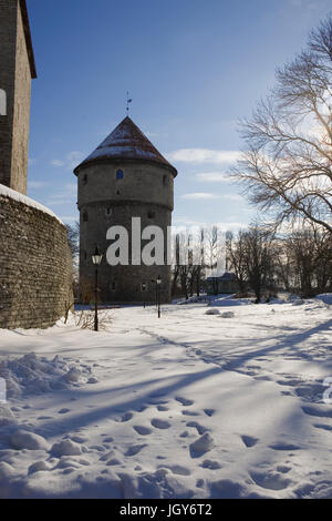 Eine verschneite weite Parklandschaft mit der Kiek in de Kök, einem mittelalterlichen Kanonenturm über Tallinn, Harjumaa, Estland Stockfoto