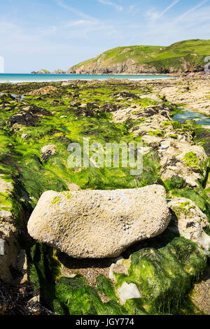 Felsenpools Newgale Sand in Pembrokeshire, Wales, Großbritannien. Stockfoto