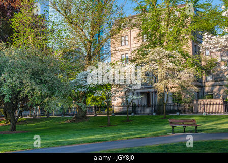 Frühling-Szene von blühenden Bäumen mit einer Parkbank im Vordergrund bei der Boston Public Garden in Boston, Massachusetts. Stockfoto