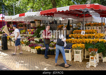 Blume-Stall, Freitag Markt - High Street, Chelmsford, Essex Stockfoto