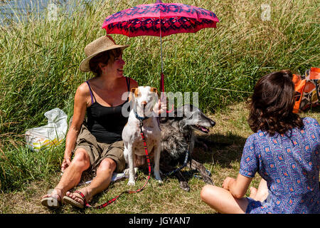 Eine Frau mit ihren Hunden sitzen am Ufer des Flusses Ouse, Lewes, Sussex, UK Stockfoto