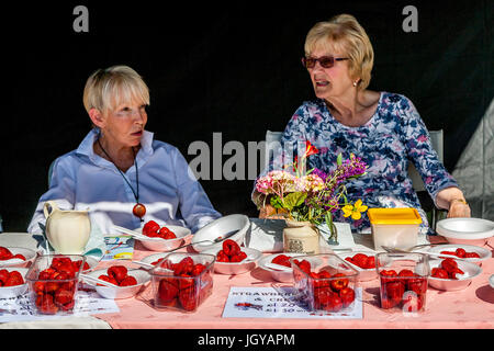 Frische Erdbeeren zum Verkauf an Fairwarp Dorffest, Fairwarp, East Sussex, UK Stockfoto