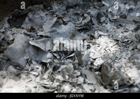 Ein Haufen Asche bleiben nach dem Brennen finanziellen Papiere. Stockfoto