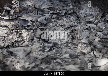 Ein Haufen Asche bleiben nach dem Brennen finanziellen Papiere. Stockfoto