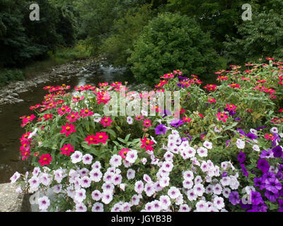 Blumenkästen mit Petunien Stockfoto