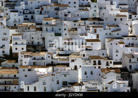 Typische wwhwewwashed Häuser, Andalusien, Spanien Stockfoto
