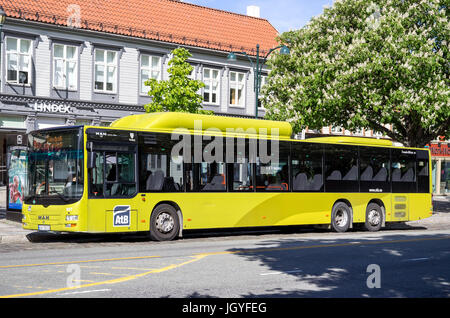 Gasbetriebene MAN Lion City Bus von AtB an der Haltestelle Munkegata, Trondheim. Trondheim ist die Stadt in Norwegen, mit der meisten Gas-Busse in Betrieb. Stockfoto