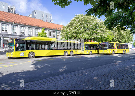 AtB Busse an der Haltestelle Munkegata in Trondheim, Norwegen. AtB ist die Verkehrsbetriebe Verwaltung im Sor-Tröndelag County. Stockfoto