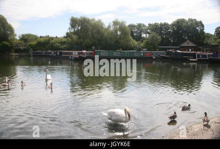 England, Hayes, Middlesex, Yeading Yachten und Lastkähne auf der Weide Marina auf dem Paddington Arm des Grand Union Canal. Stockfoto