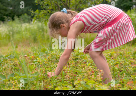 Kleinkinder in den Hof Erdbeeren pflücken Stockfoto