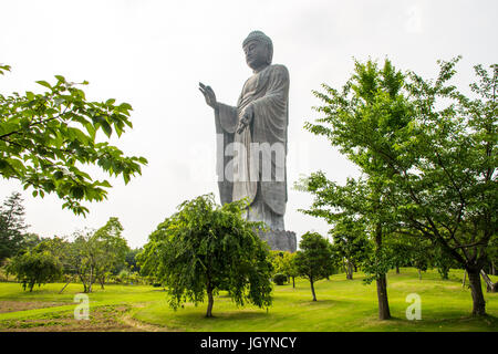 Vollansicht des großen Buddha von Ushiku, Japan. Eines der höchsten Statuen der Welt Stockfoto