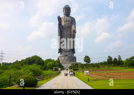 Vollansicht des großen Buddha von Ushiku, Japan. Eines der höchsten Statuen der Welt Stockfoto