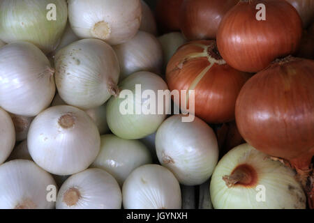 Zwiebeln. Markthalle. Mina Obst- und Gemüsemarkt. Emirat Abu Dhabi. Stockfoto