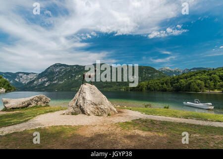 Bohinj See in Slowenien Triglav Nationalpark. Stockfoto