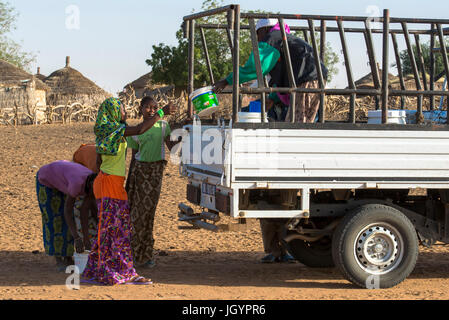 Milch-Kollektion von La Laiterie du Berger Molkereiunternehmen. Senegal. Stockfoto