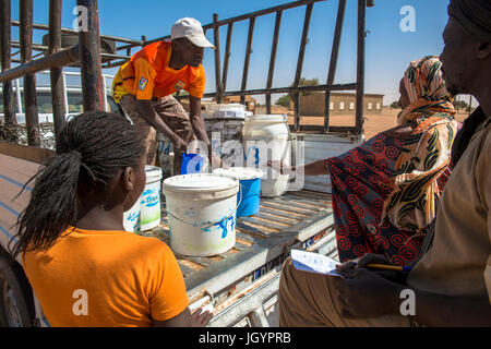 Milch-Kollektion von La Laiterie du Berger Molkereiunternehmen. Senegal. Stockfoto