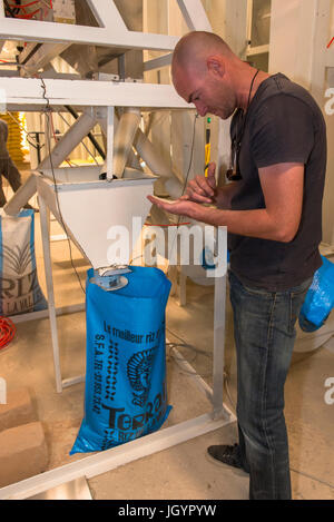 Verarbeitung und Verpackung Fabrik Reis.  Senegal. Stockfoto