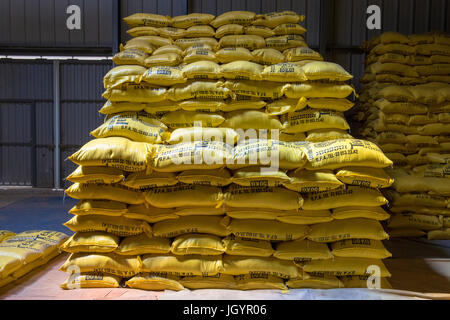 Verarbeitung und Verpackung Fabrik Reis.  Senegal. Stockfoto