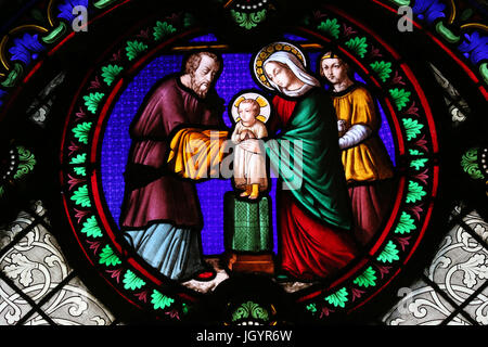 Saint-Martin d'Ainay Basilika. Glasmalerei-Fenster. Die Darstellung Jesu im Tempel.  Lyon. Frankreich. Stockfoto