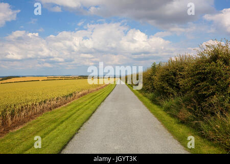 ein erneuertes Feldweg mit Splitt in den malerischen Yorkshire Wolds mit einem Weißdorn Hecke und neu Schnitt Grünstreifen unter einem blauen Sommerhimmel mit w Stockfoto