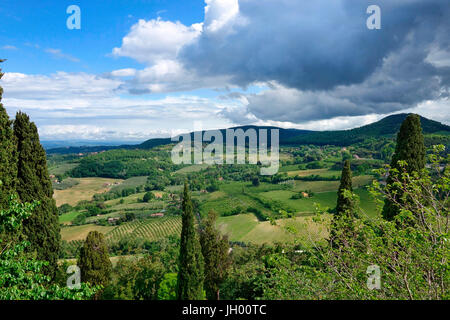 Ackerland Blick von Montepulciano, Toskana Stockfoto