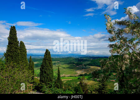 Ackerland Blick von Montepulciano, Toskana Stockfoto