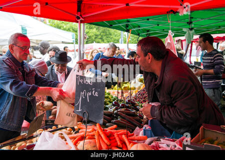 Händler verkaufen Gemüse an einen Kunden in Wazemmes Markt (Marché de Wazemmes), Lille, Frankreich Stockfoto