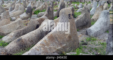 Friedhof Berdytschiw Ukraine Stockfoto