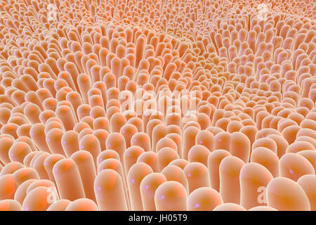 Organische Gewebe mikroskopisch kleine Fasern, die eine biologische Lebensform gehören Stockfoto