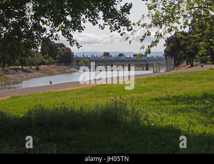 BART über Alameda Creek Regional Trail, CA USA Stockfoto