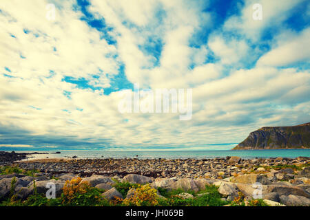 Felsige Küste mit einem schönen bewölkten Himmel. Wildnis. Schöne Natur Norwegens. Lofoten-Inseln. Ramberg Stockfoto