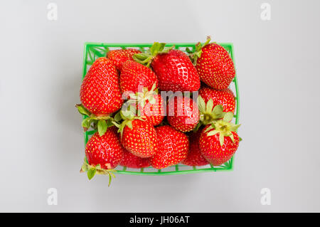 Frische Erdbeeren in einen Kunststoff grün Körbchen auf einem grauen Hintergrund Stockfoto