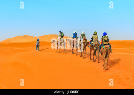 Karawane der Touristen in der Sahara Stockfoto