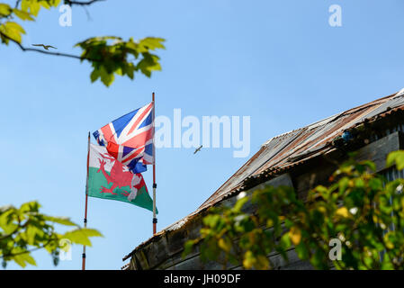 Flagge von Wales (Cymru Baner) und Nationalflagge des Vereinigten Königreichs, auch bekannt als die Anschluß-Markierungsfahne oder Union Jack. Kidwelly (Cydweli), Carmarthenshire. Wale Stockfoto